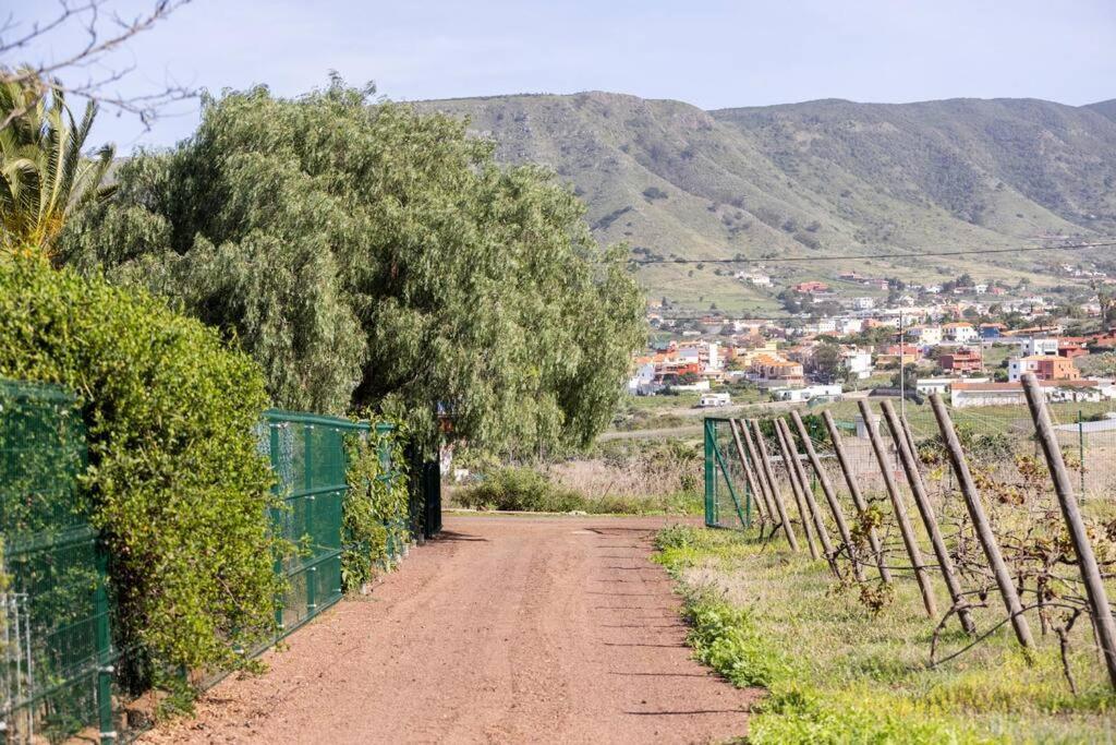 Casita Entre Vinedos, Experiencia Rural, Ideal Ninos. Tegueste Buitenkant foto