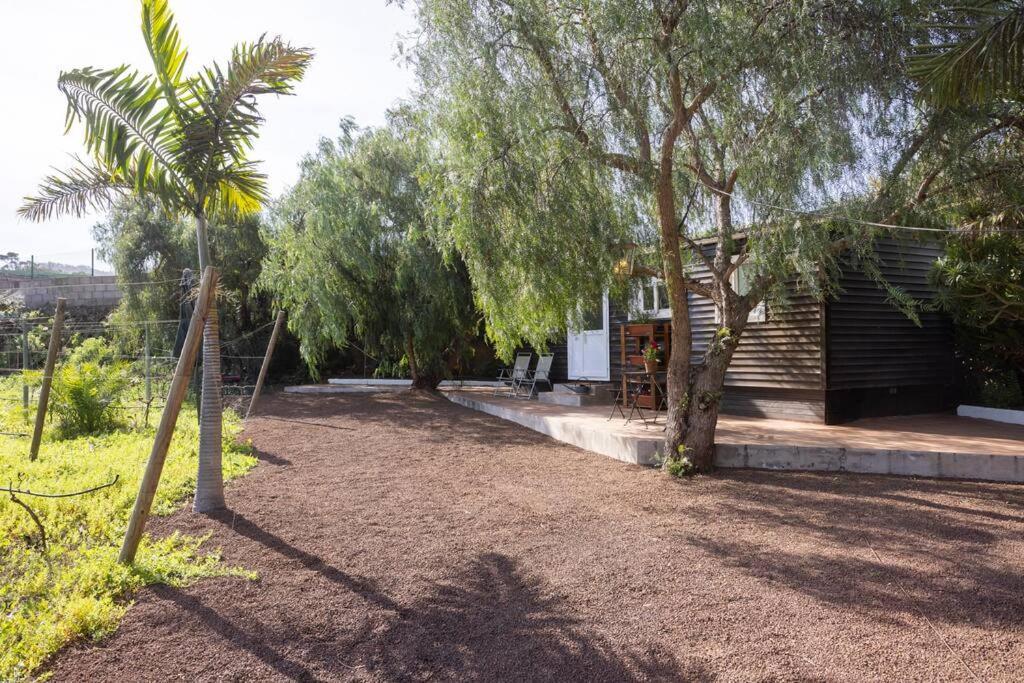 Casita Entre Vinedos, Experiencia Rural, Ideal Ninos. Villa Tegueste Buitenkant foto